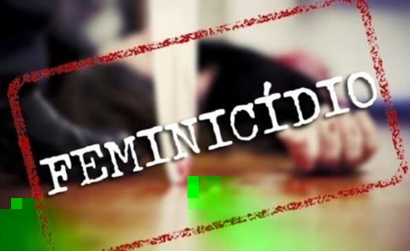 Polícia Civil de Palmeira das Missões cumpre mandado de prisão por tentativa de feminicídio